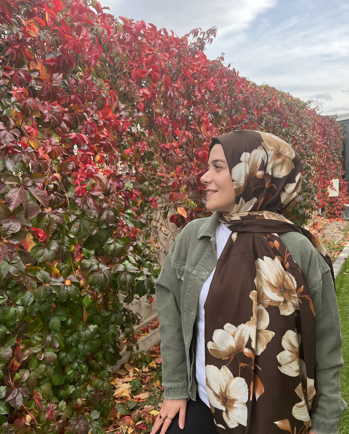 Şehri Şal  8383