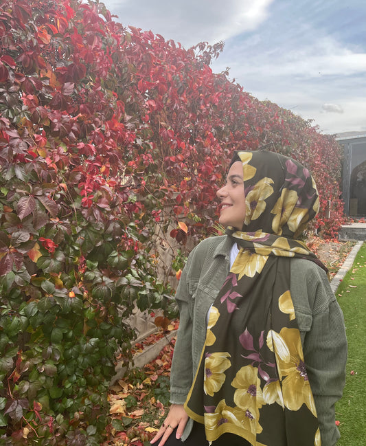 Şehri Şal  8383